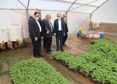 خبرنگاران سرمایه گذاری 18 هزار میلیارد ریالی در گلخانه های منطقه آزاد ارس